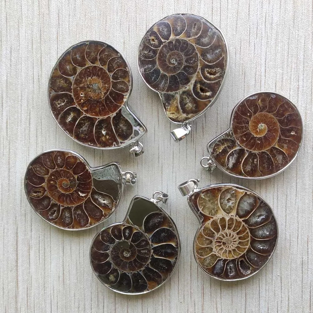 Natural ammonite snail shell healing stone pendants for necklaces Wholesale 6pcs lot