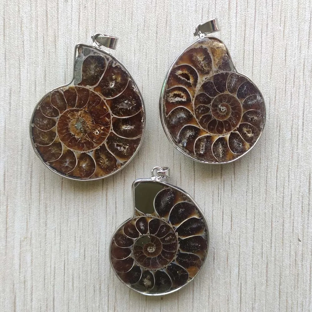 Natural ammonite snail shell healing stone pendants for necklaces Wholesale 6pcs lot