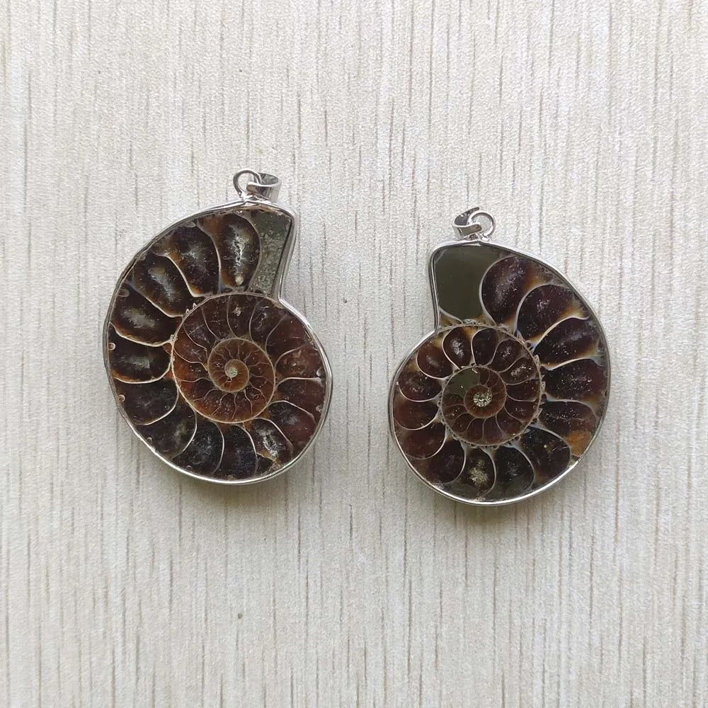 Natural ammonite snail shell healing stone pendants for necklaces Wholesale 6pcs lot