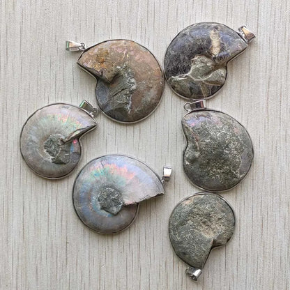 Natural ammonite snail shell healing stone pendants for necklaces Wholesale 6pcs lot